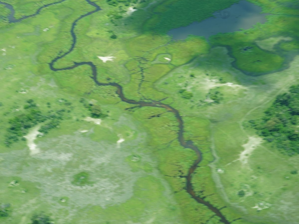 Vogelperspektive auf einen Fluss, der sich wurmartig durch grüne Landschaft schlängelt 
