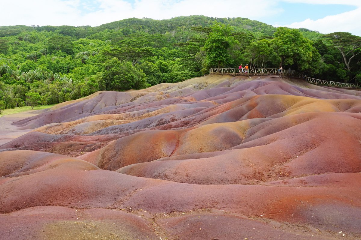 Hügelige Landschaft mit welligen, unterschiedlich gefärbten Sandflächen vor dicht bewaldetem Hang