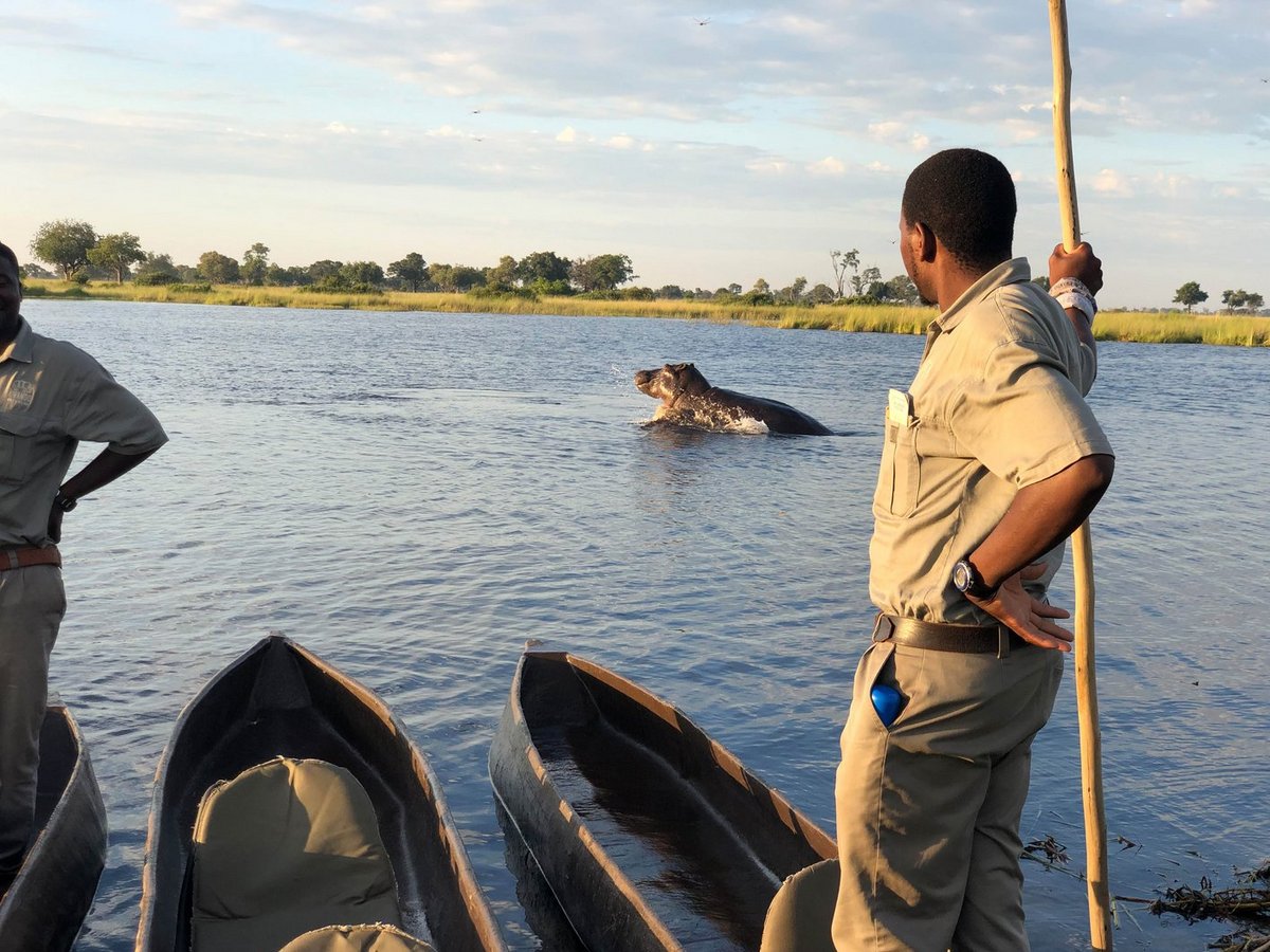 Mann in Safaribekleidung in einem Boot und Stock in der Hand beobachtet ein Nilpferd im Wasser