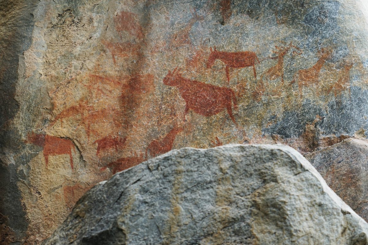 Felsen mit mehreren roten Felsmalereien von Tieren.