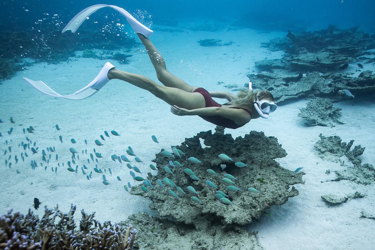 Taucherin mit Schnorchelmaske und Flossen schwimmt über Korallenriff mit Schwarm kleiner Fische. 
