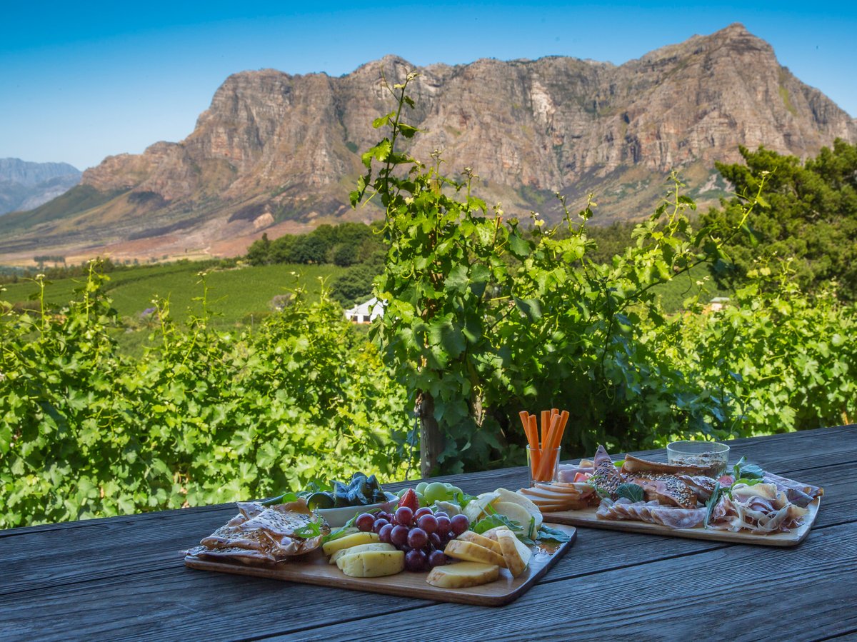 Blick von einer Terrasse mit zwei Holzplatten mit Käse, Trauben und Snacks auf einen Weinberg und dahinter Berge.